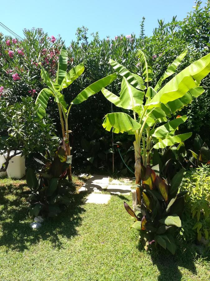 Stoupa's Paradise Bagian luar foto